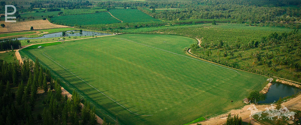 Polo Escape Field