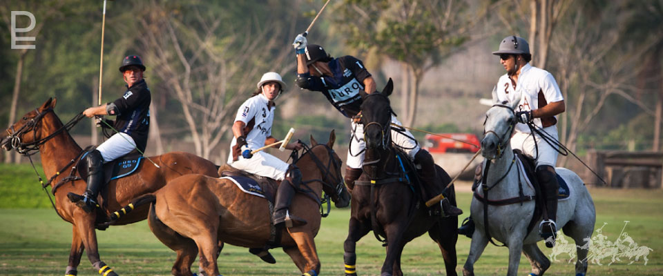 Polo Escape stables