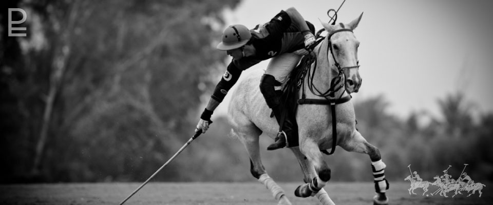 Polo Escape